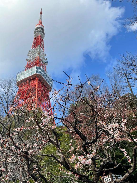 花粉症は…◯◯◯◯