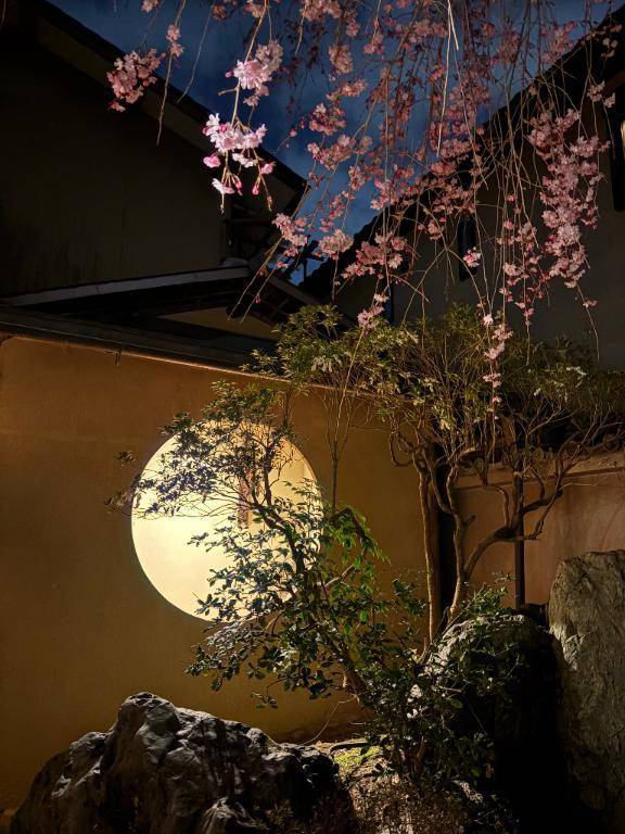 夜桜ありがとうございました❤️❤️