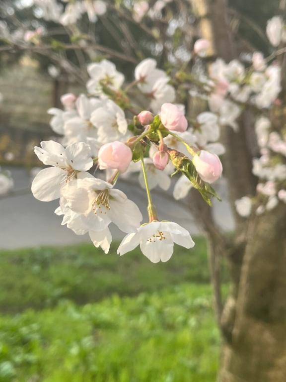 🌷あなたが主役🌷