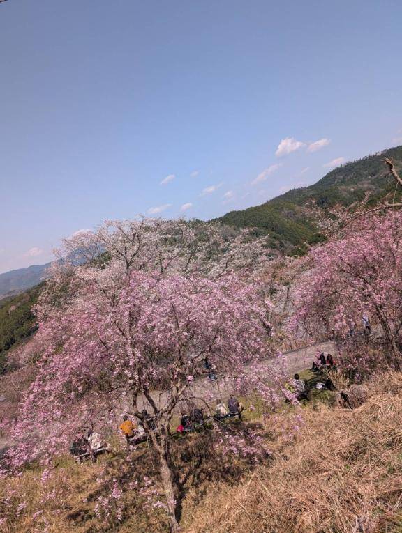 ありがとう(*´ω｀*)💓