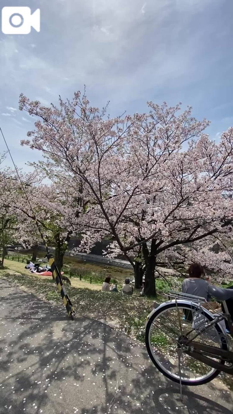 次はGW🎏🌱