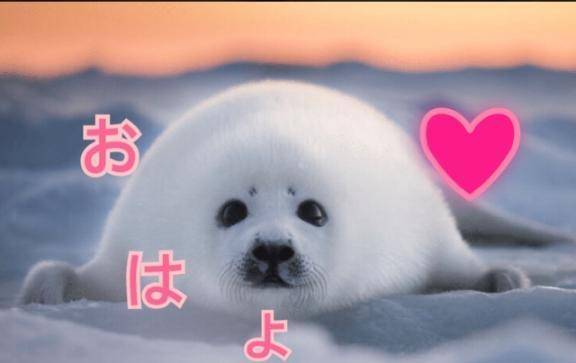 おはよう❤️