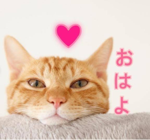 おはよう❤️