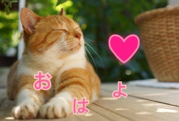 おはよう❤️