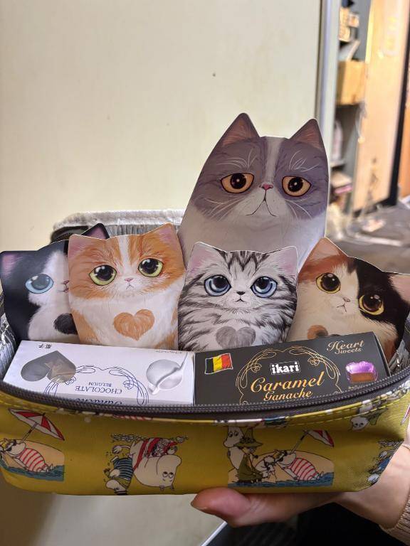可愛いい猫達が🐈❤️