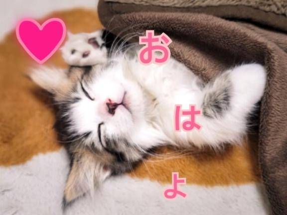 おはよう❤️