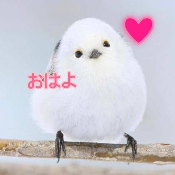 おはよう❤️