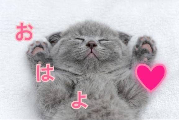 おはよう❤️