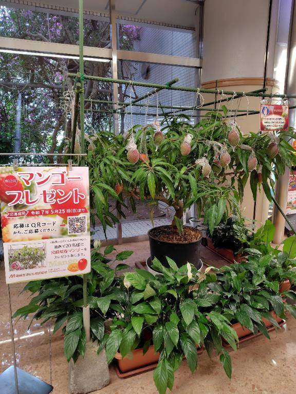 🍀今日は16時半まで(*^^*)