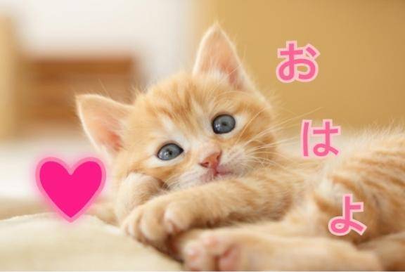 おはよう❤️