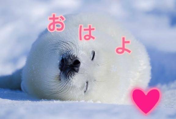 おはよう❤️
