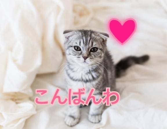 出勤しました❤️