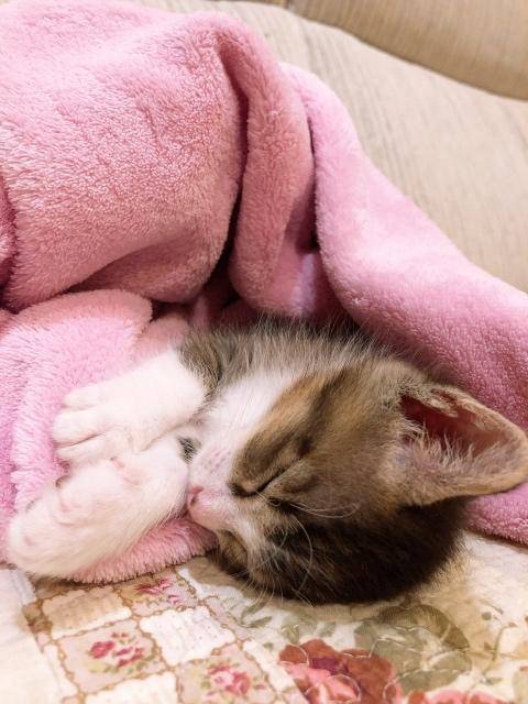 本日受付終了です😺