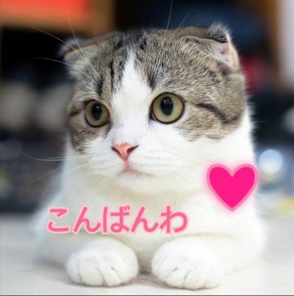 連休明け❤️