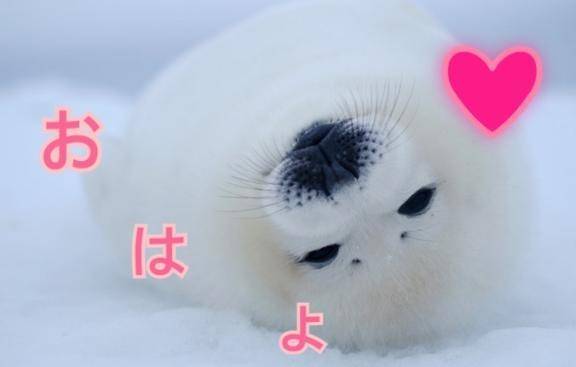 おはよう❤️