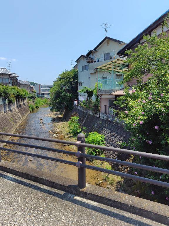 🍀7月9日(水)は(*´ω`*)