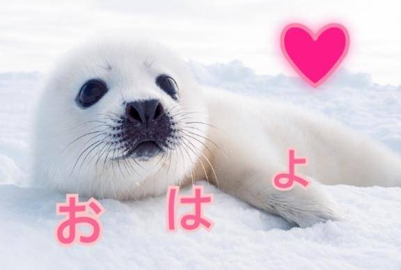 おはよう❤️
