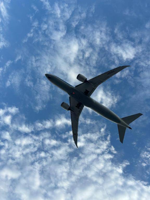 飛行機✈️