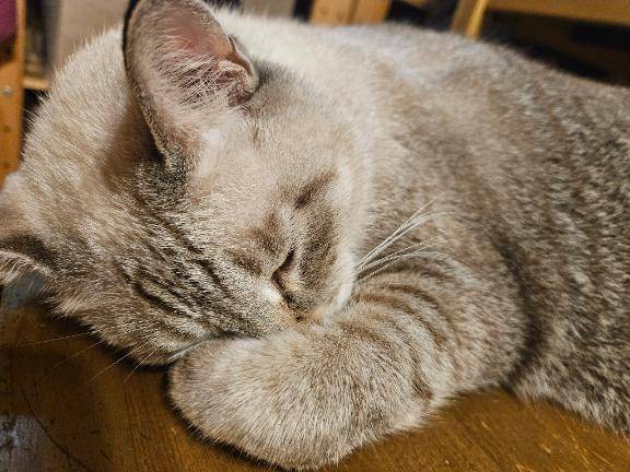 つぎの出勤は…💕