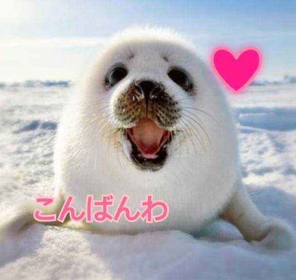 出勤しました❤️