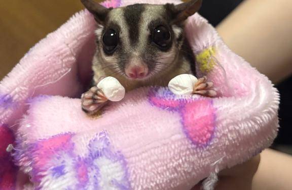 ありがとう❤️