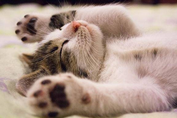 帰ります🐈‍⬛