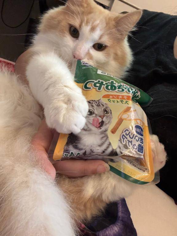 お知らせだにゃん