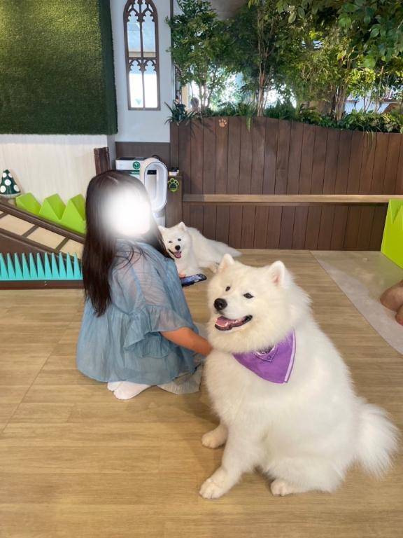 22時ごろから🤍