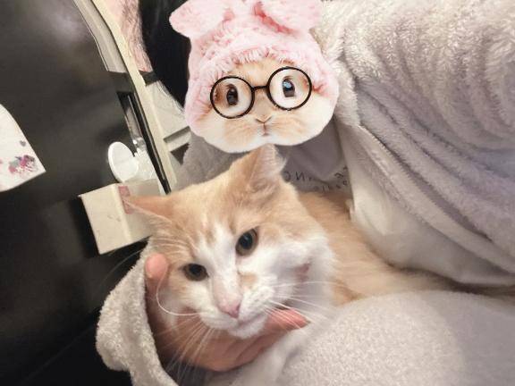 おやすみ