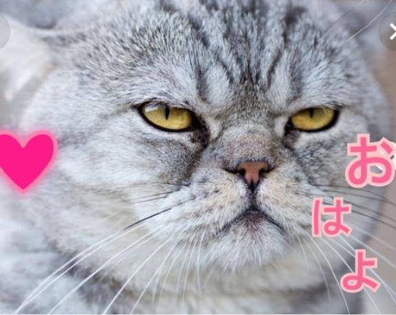 昨日❤️