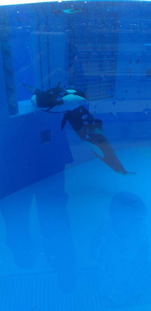 須磨水族館❤️