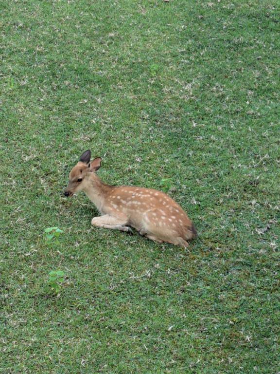 次回15時半🐇🩷