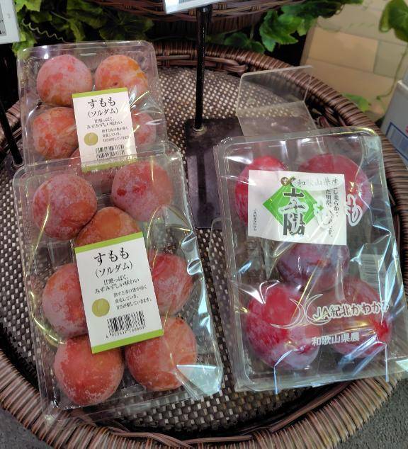 🍀事前予約完売💓