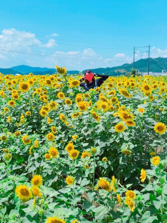 イクね♡