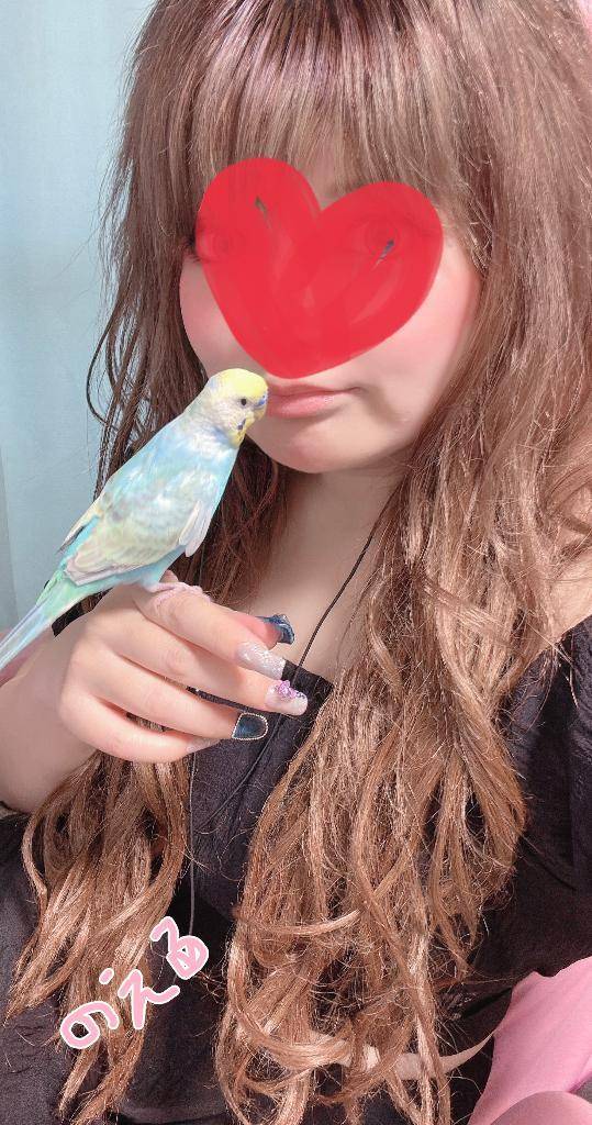 みんとちゃんとおぼんの