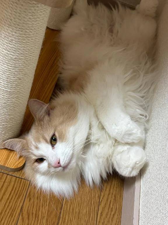 退勤