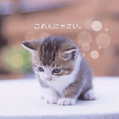 9/15(月)㊗️お休みに変更します😺