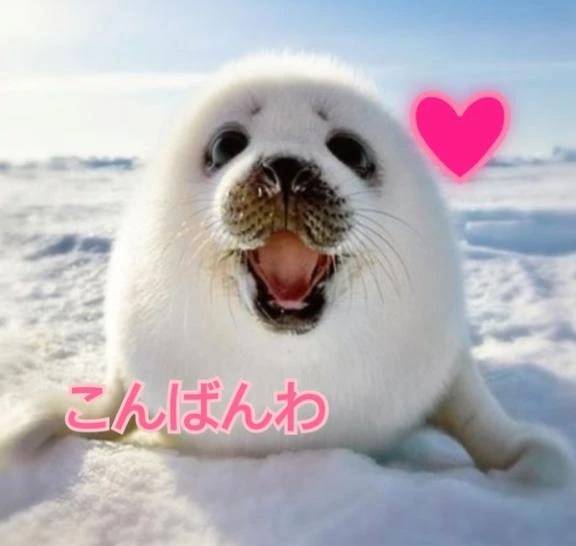 連休明け❤️