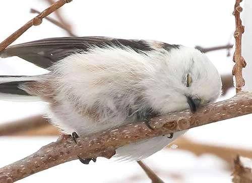 good night😴