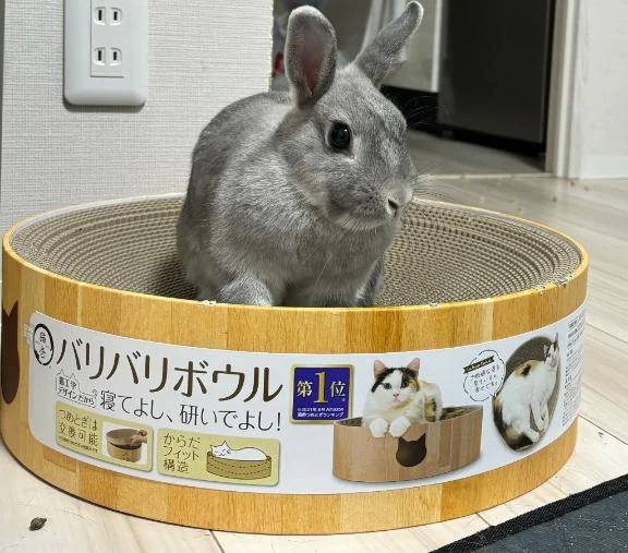 次回明日火曜日🈳