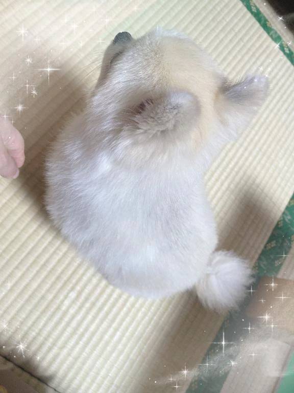 ゆっくり