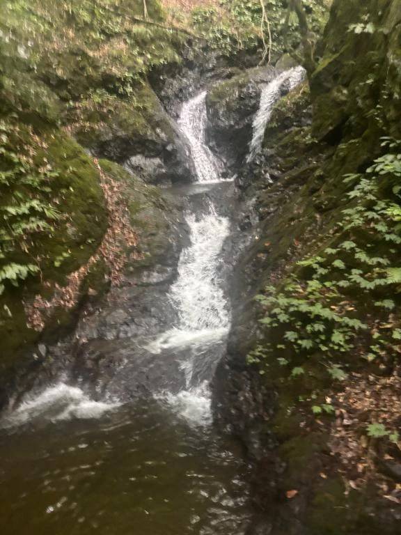 自然の中で癒される🌲