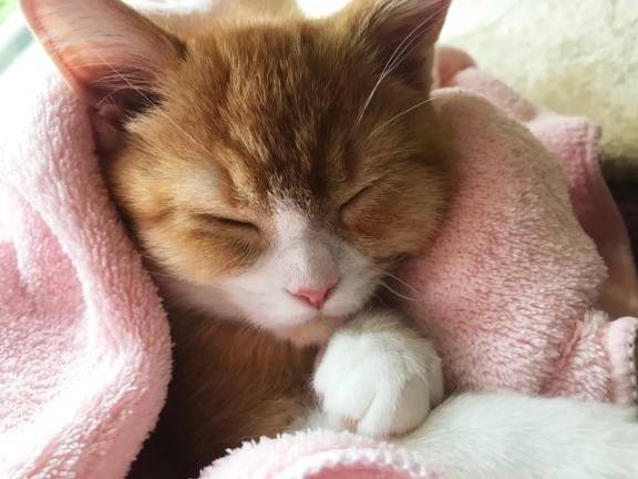 帰りまーす🐈‍⬛