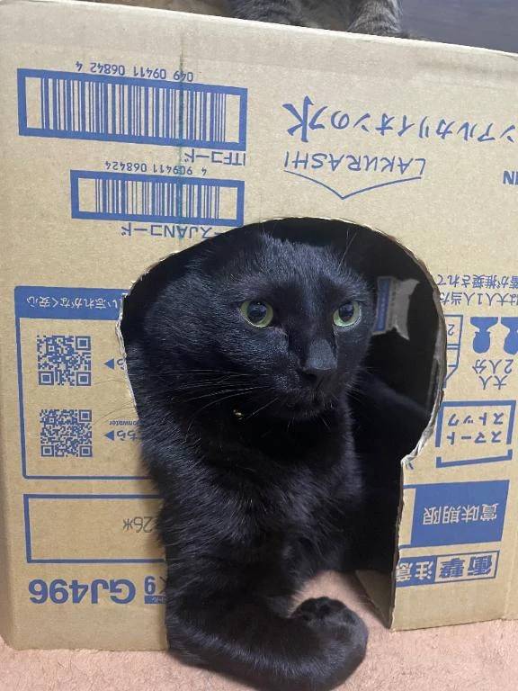次回明日月曜日🈳