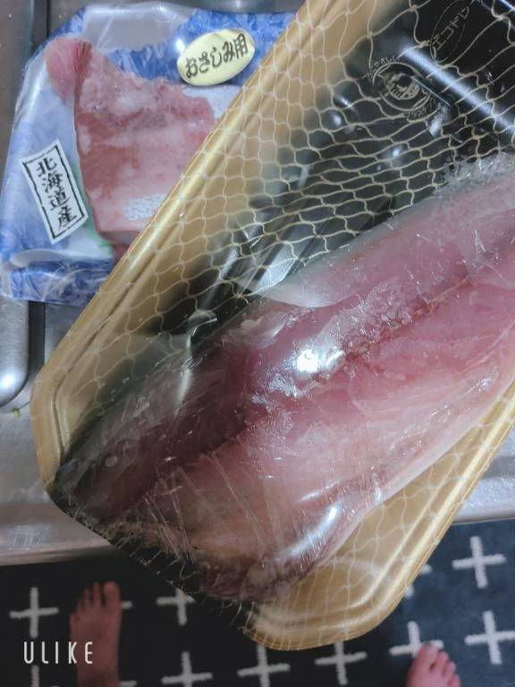 お魚GET(･ω･)！