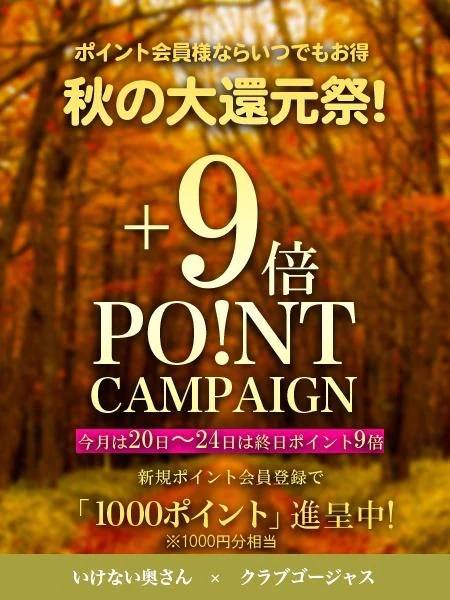 24日まで♥️