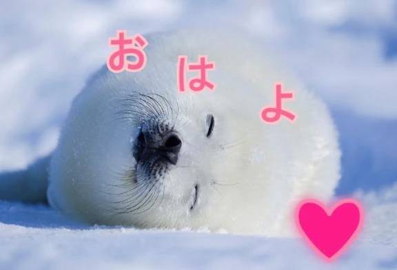 出勤しました❤️