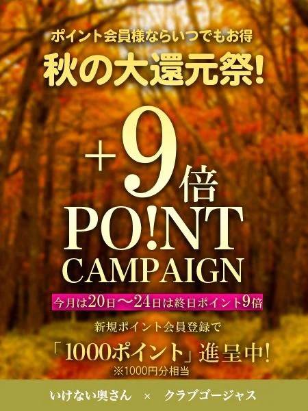 24日まで♥️