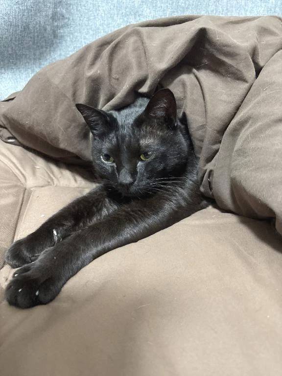 次回明日金曜日🈳