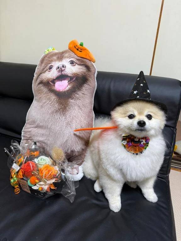 ハピハロ🎃10月もありがとう